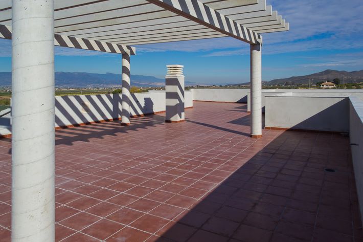 397007_563836653633357_276632895_n