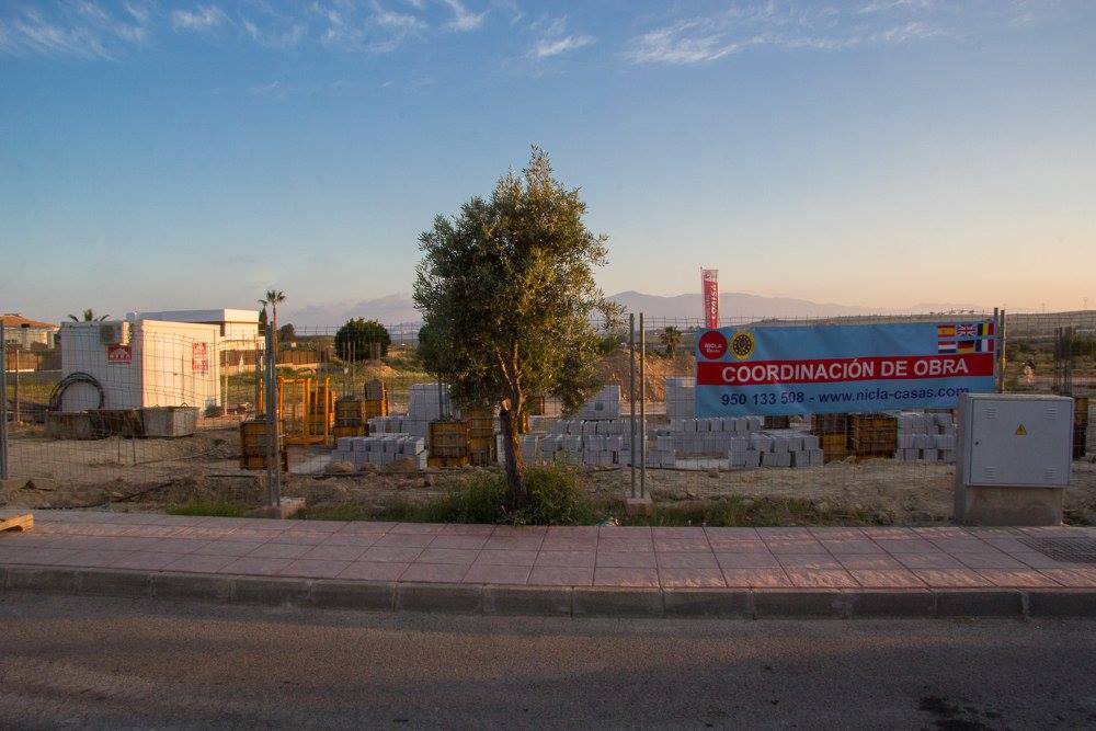 17917754_1650685404948471_7775788579696328451_o